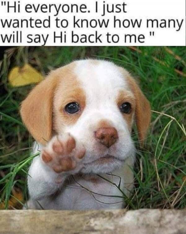 Hi everyone. I just wanted to know how many will say Hi back to me