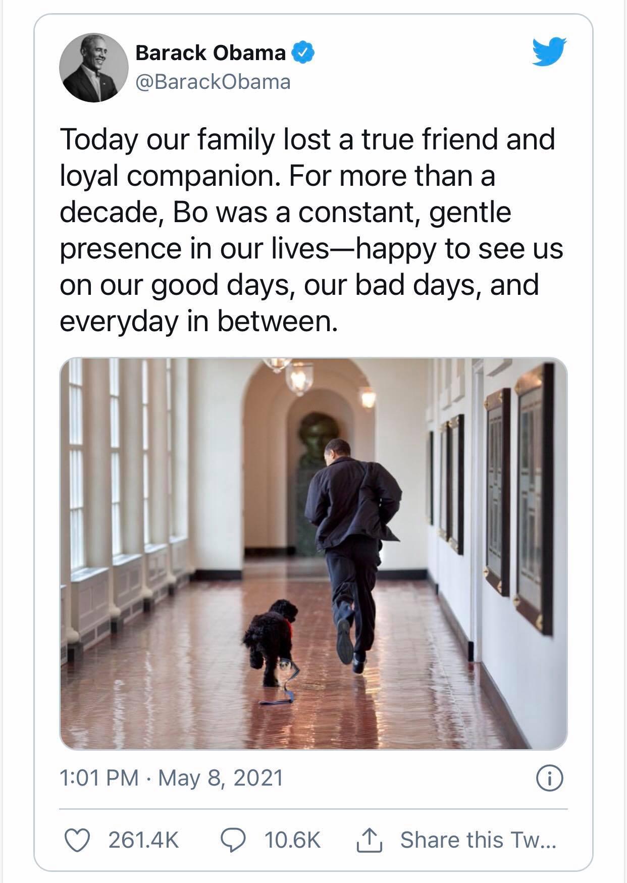 Barack Obama J BarackObama Today our family lost a true friend and loyal companion For more than a decade Bo was a constant gentle presence in our liveshappy to see us on our good days our bad days and everyday in between 101 PM May 8 2021 QO 2614k O 106K T Share this Tw