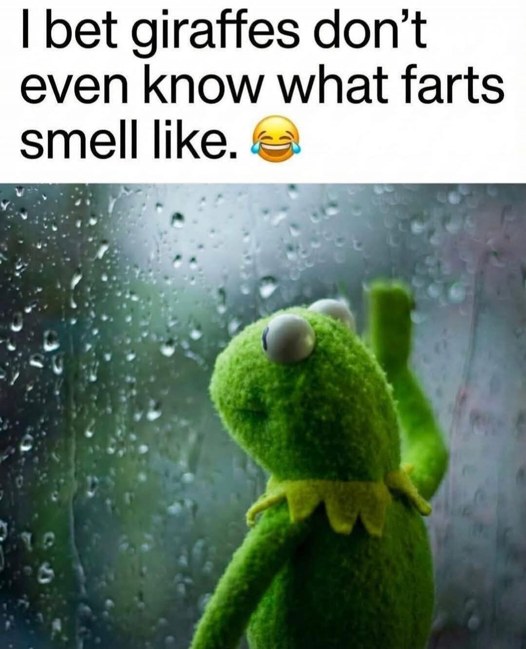 I bet giraffes don't even know what farts smell like. 😂