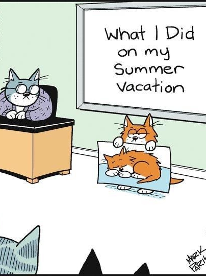 What Did on my Summer Vacation ulm iam