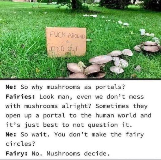 Me So why mushrooms as portals Fairies Look man even we dont mess with mushrooms alright Sometimes they open up a portal to the human world and its just best to not question it Me So wait You dont make the fairy circles Fairy No Mushrooms decide