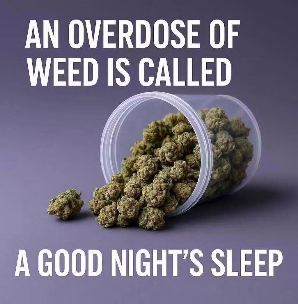 AN OVERDOSE OF WEED IS CALLED A GOOD NIGHT'S SLEEP