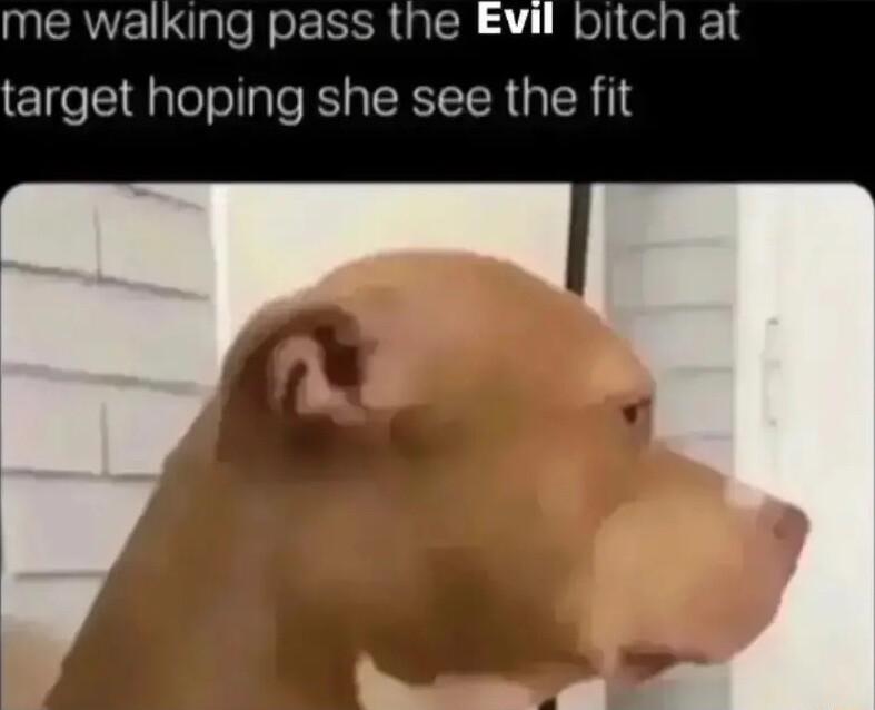 me walking pass the Evil bitch at target hoping she see the fit