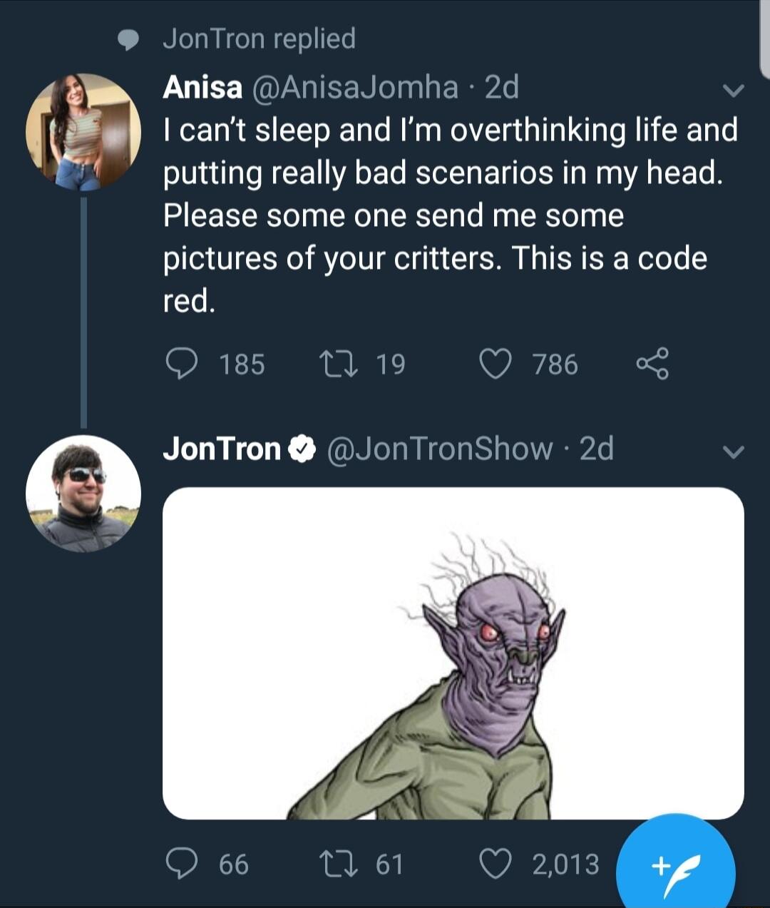 JonTron replied Anisa AnisaJorr cant sleep and Im overthinking life and putting really bad scenarios in my head Please some one send me some pictures of your critters This is a code red a 2d
