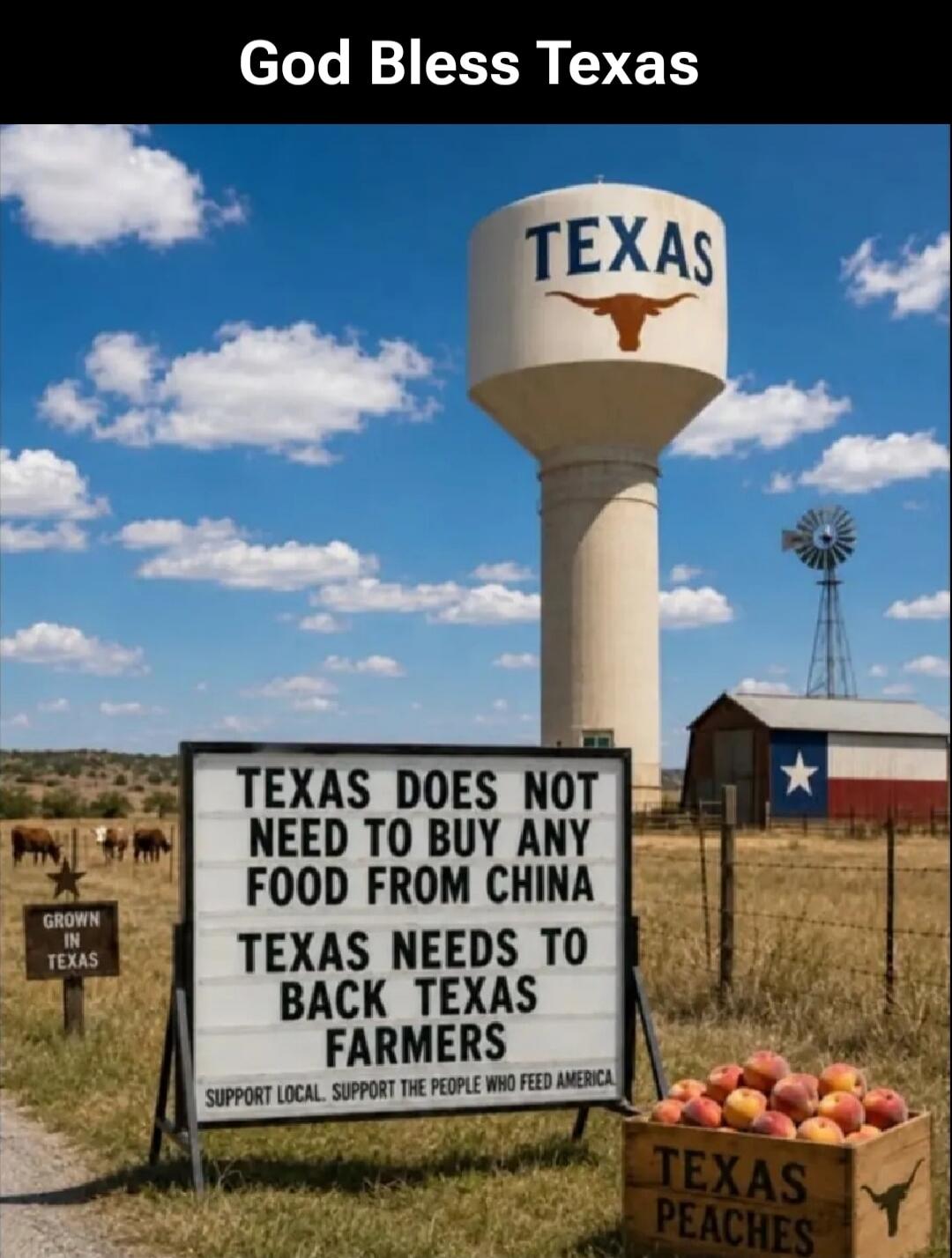 God Bless Texas TEXAS TEXAS DOES NOT NEED TO BUY ANY FOOD FROM CHINA TEXAS NEEDS TO BACK TEXAS FARMERS SUPPORT LOCAL. SUPPORT THE PEOPLE WHO FEED AMERICA. GROWN IN TEXAS TEXAS PEACHES