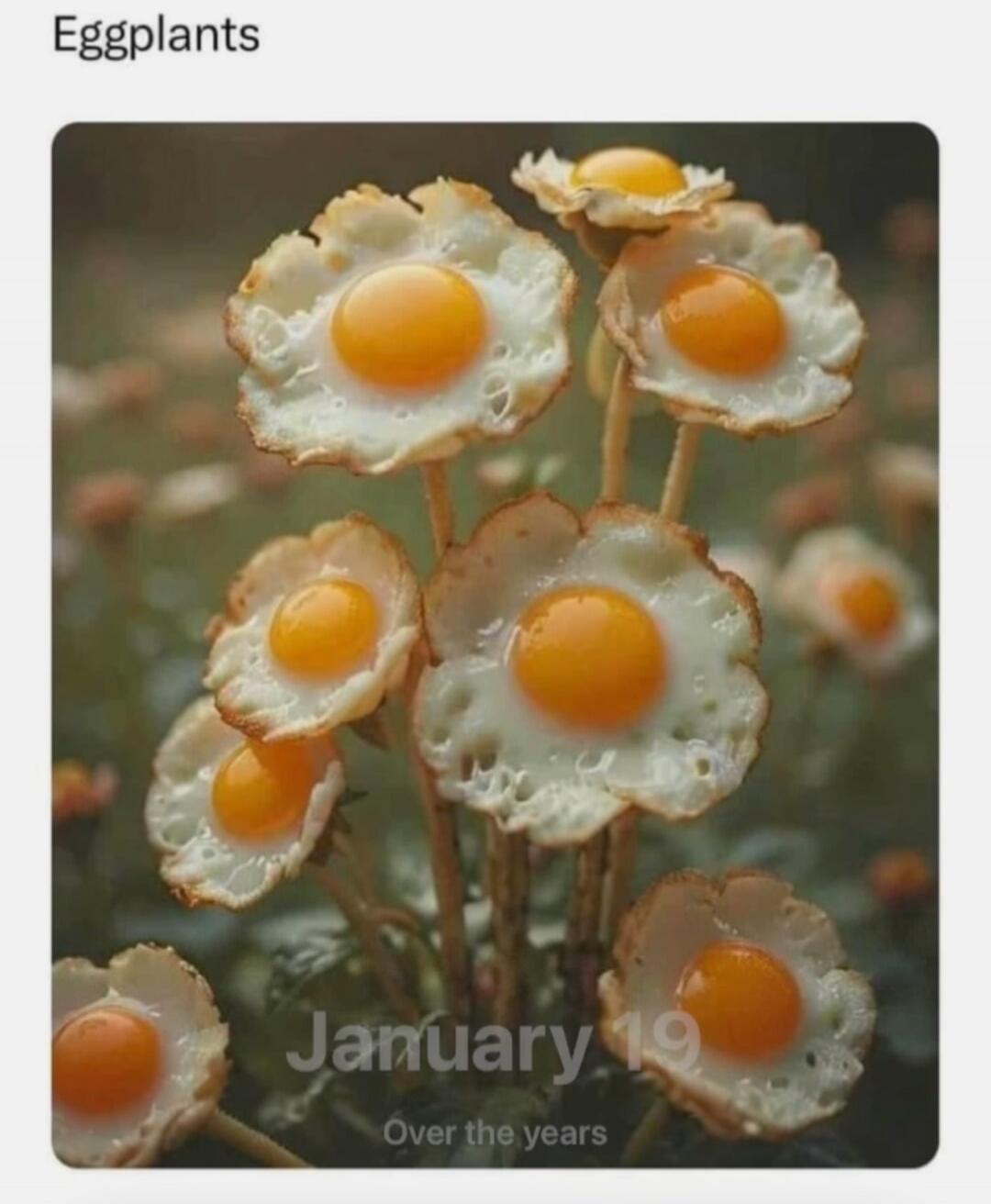 Eggplants\nJanuary 19\nOver the years