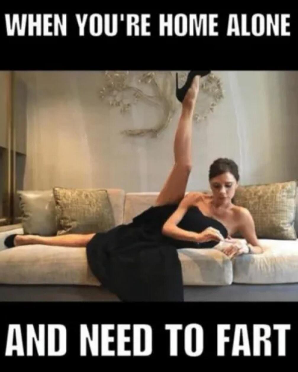 WHEN YOU'RE HOME ALONE AND NEED TO FART
