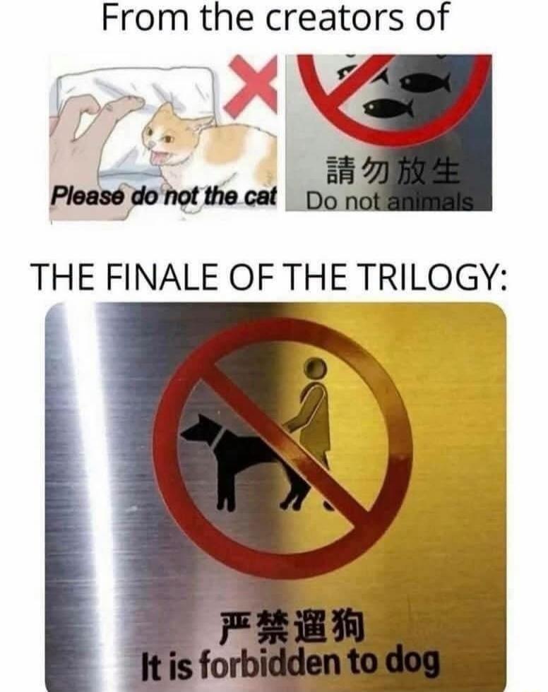 From the creators of Please do not the cat Do not animals THE FINALE OF THE TRILOGY: It is forbidden to dog