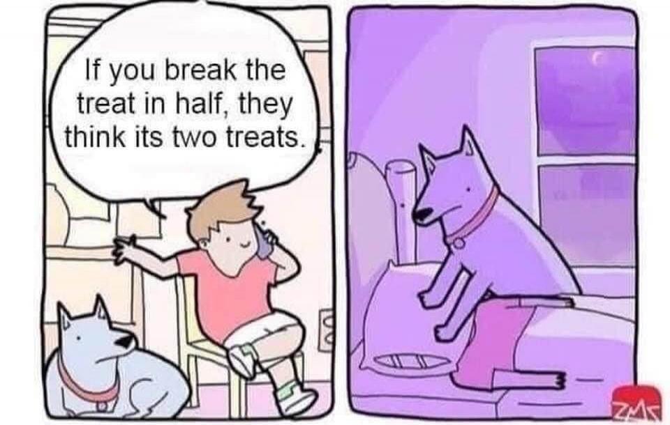 If you break the treat in half, they think its two treats.