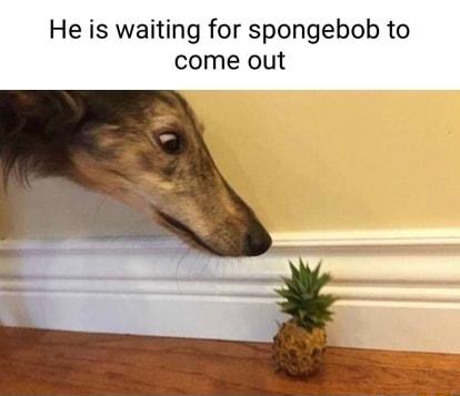 He is waiting for spongebob to come out