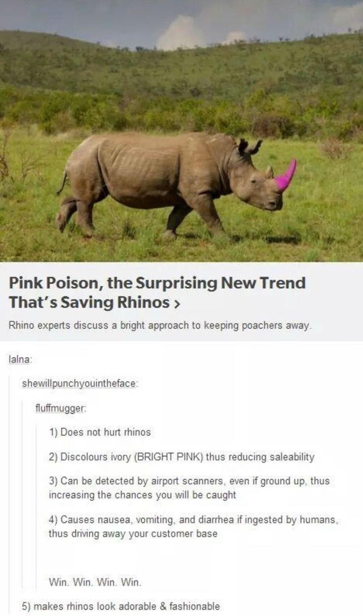 Pink Poison the Surprising New Trend Thats Saving Rhinos Rhino experts discuss a bright approach to keeping poachers away lalna shewillpunchyouintheface fluffmugger 1 Does not hurt rhinos 2 Discolours ivory BRIGHT PINK thus reducing saleability 3 Can be detected by airport scanners even if ground up thus increasing the chances you will be caught 4 Causes nausea vomiting and diarrhea if ingested by