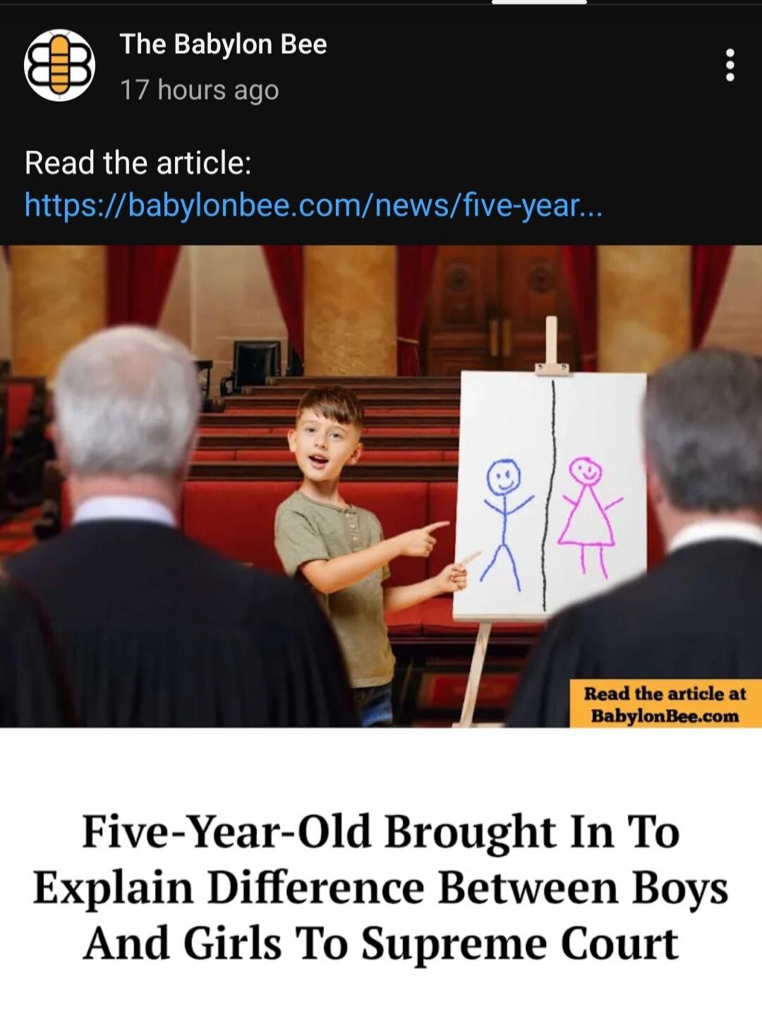 Read the article: https://babylonbee.com/news/five-year-… Five-Year-Old Brought In To Explain Difference Between Boys And Girls To Supreme Court