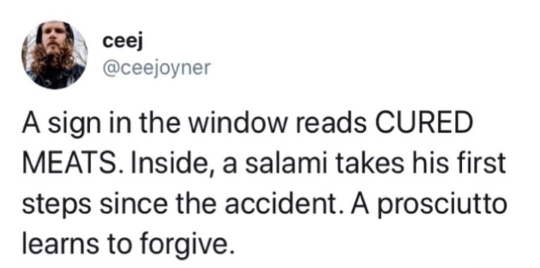 A sign in the window reads CURED MEATS. Inside, a salami takes his first steps since the accident. A prosciutto learns to forgive.