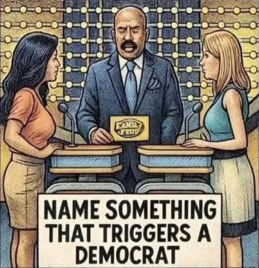 NAME SOMETHING THAT TRIGGERS A DEMOCRAT