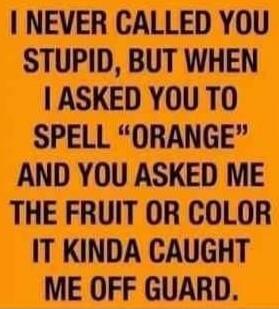 I NEVER CALLED YOU STUPID, BUT WHEN I ASKED YOU TO SPELL 