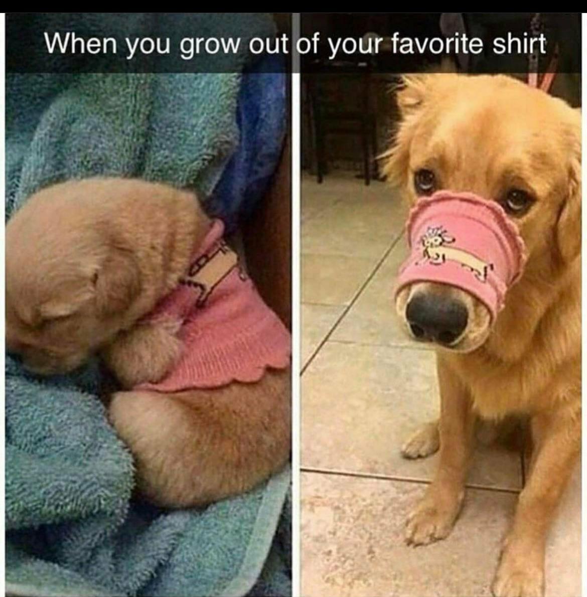 When you grow out of your favorite shirt