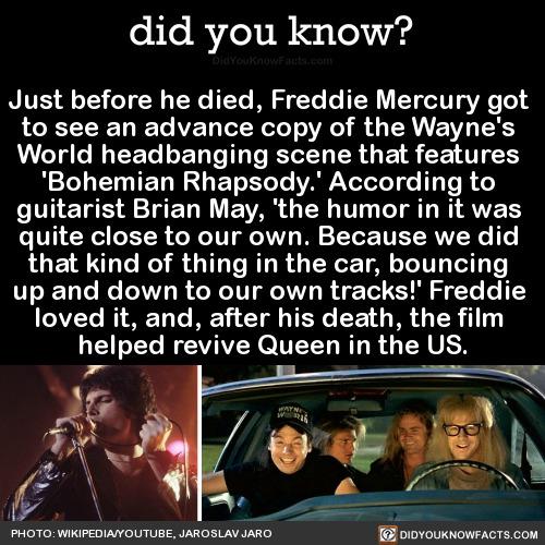 did you know Just before he died Freddie Mercury got LT To VET LT oTe T VR i RV VI T L G EELLEL I T R G F E T Bohemian Rhapsody According to INERS ATEL N EAR TS V T T T RV quite close to our own Because we did that kind of thing in the car bouncing up and down to our own tracks Freddie e1V2Te BT RT3 Vo IO 1 STl TR T L IR TR 110 helped revive Queen in the US P b e g W o