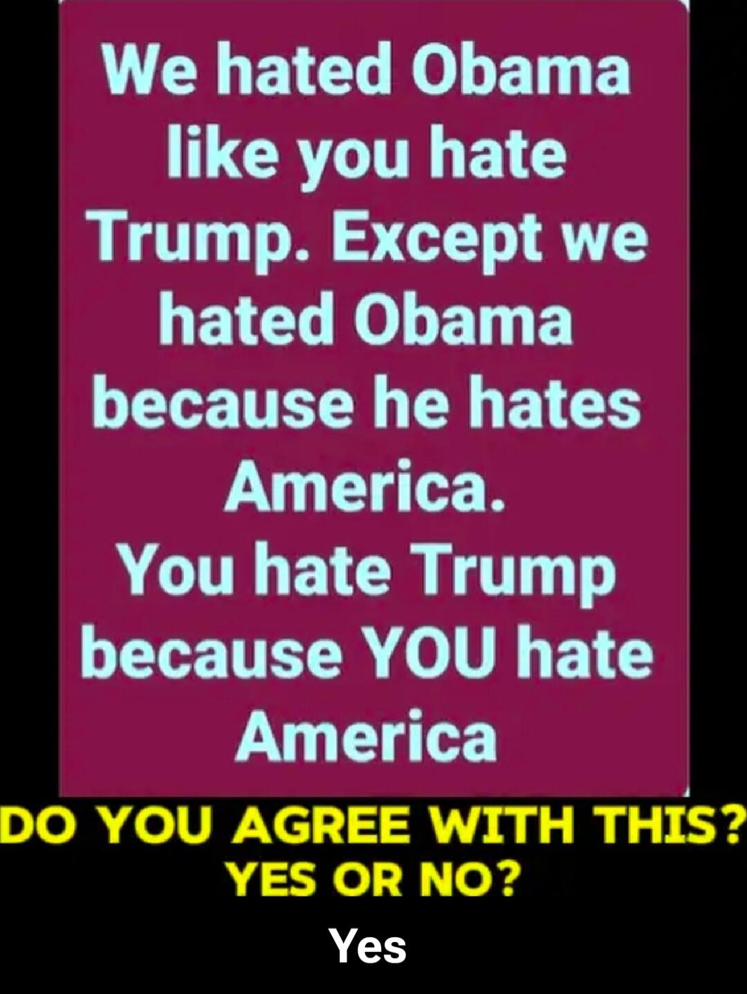 We hated Obama like you hate Trump. Except we hated Obama because he hates America. You hate Trump because YOU hate America. DO YOU AGREE WITH THIS? YES OR NO? Yes