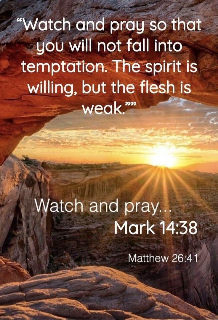 Watch and pray so that you will not fall into temptation. The spirit is willing, but the flesh is weak. Watch and pray... Mark 14:38 Matthew 26:41