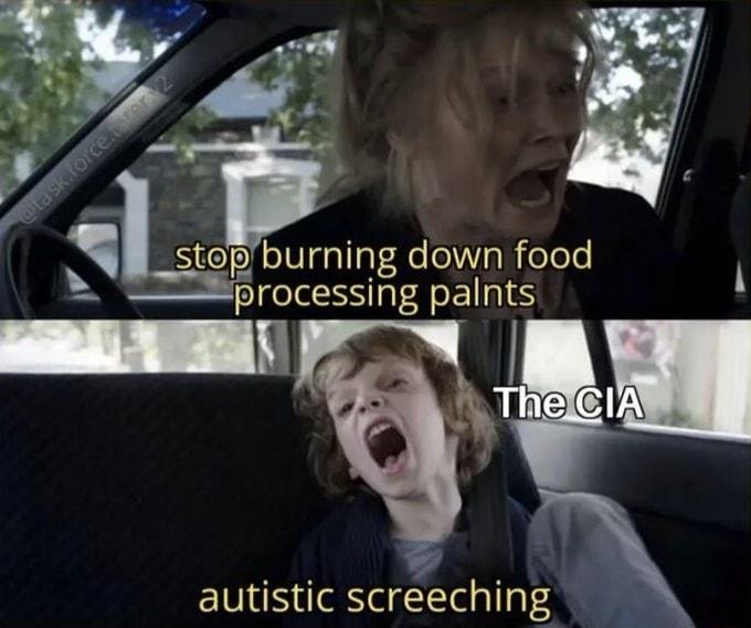 S StelofelVgallatelolalfelele processing palnts N autistic screechin