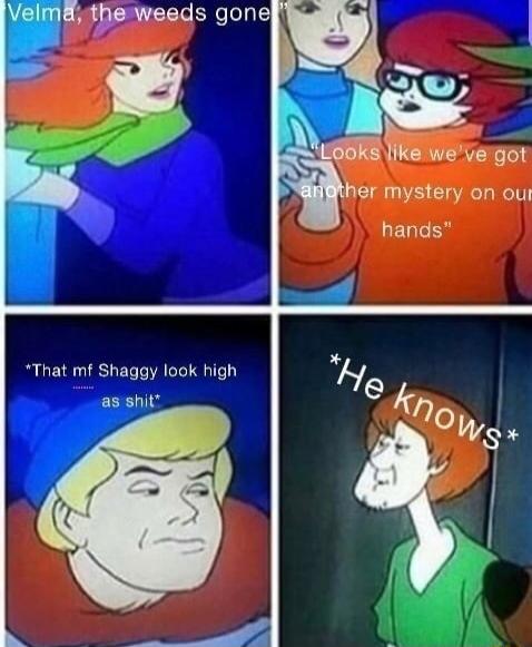 U CRVEERERCE mystery on our That mf Shaggy look high as shit