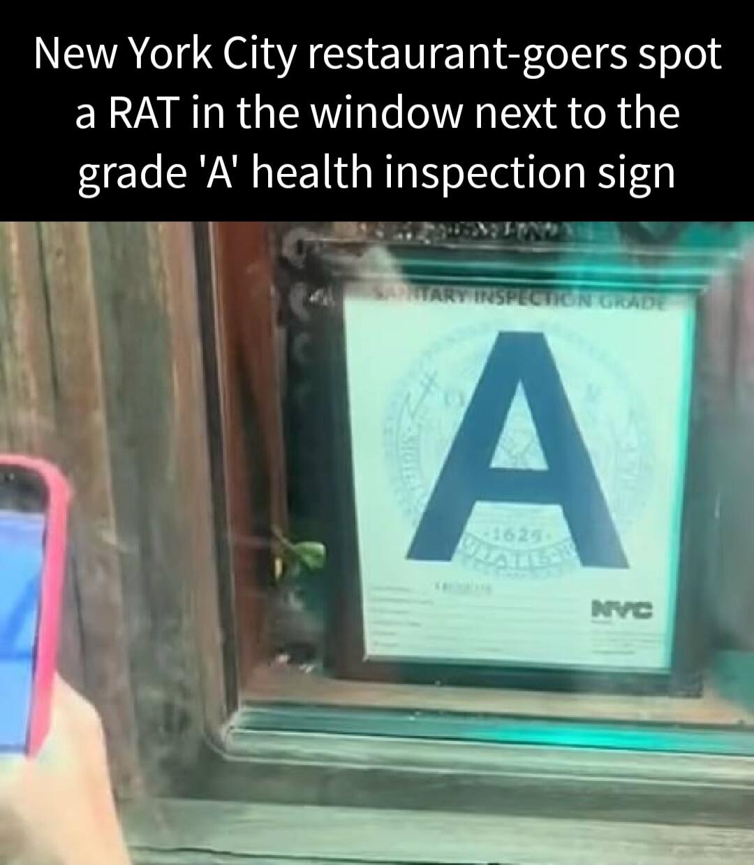 NEA G JEIACS ENE el SR ool ELARTRGERV T Te WA TN R 1y 1 grade A health inspection sign