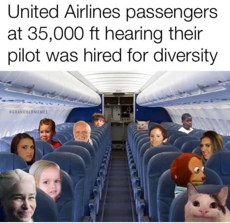 United Airlines passengers at 35000 ft hearing their pilot was hired for diversity