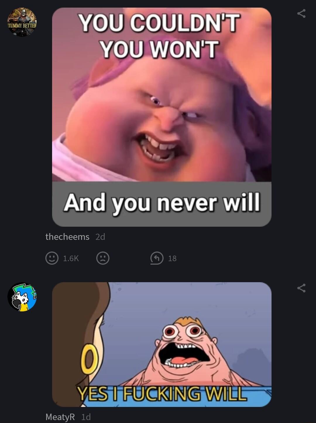 YOU COULDNiy YOU WONT d you never will thecheems MeatyR