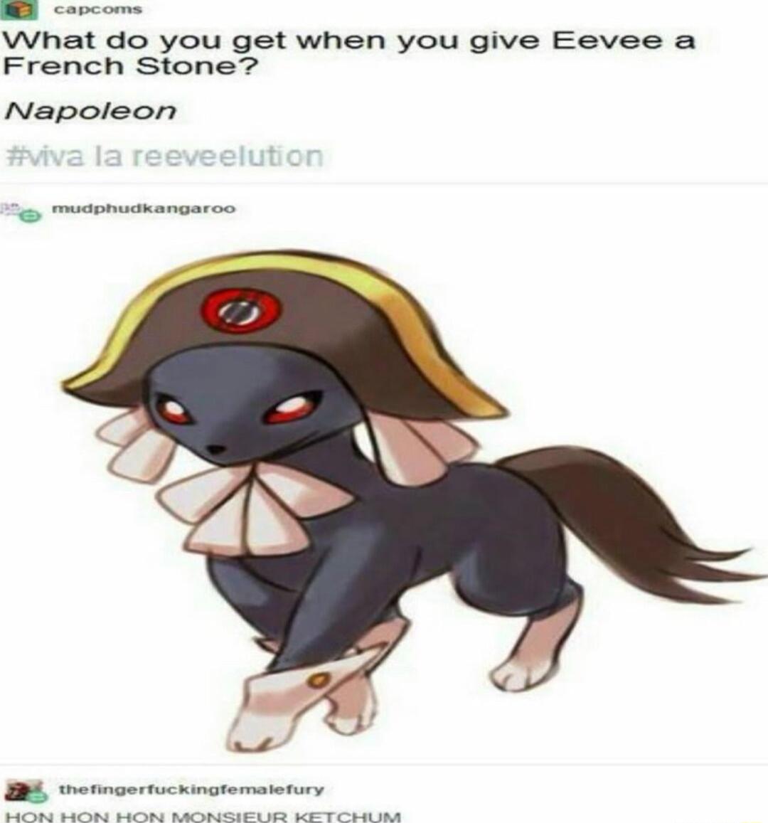 What do you get when you give Eevee a French Stone Napoleon e