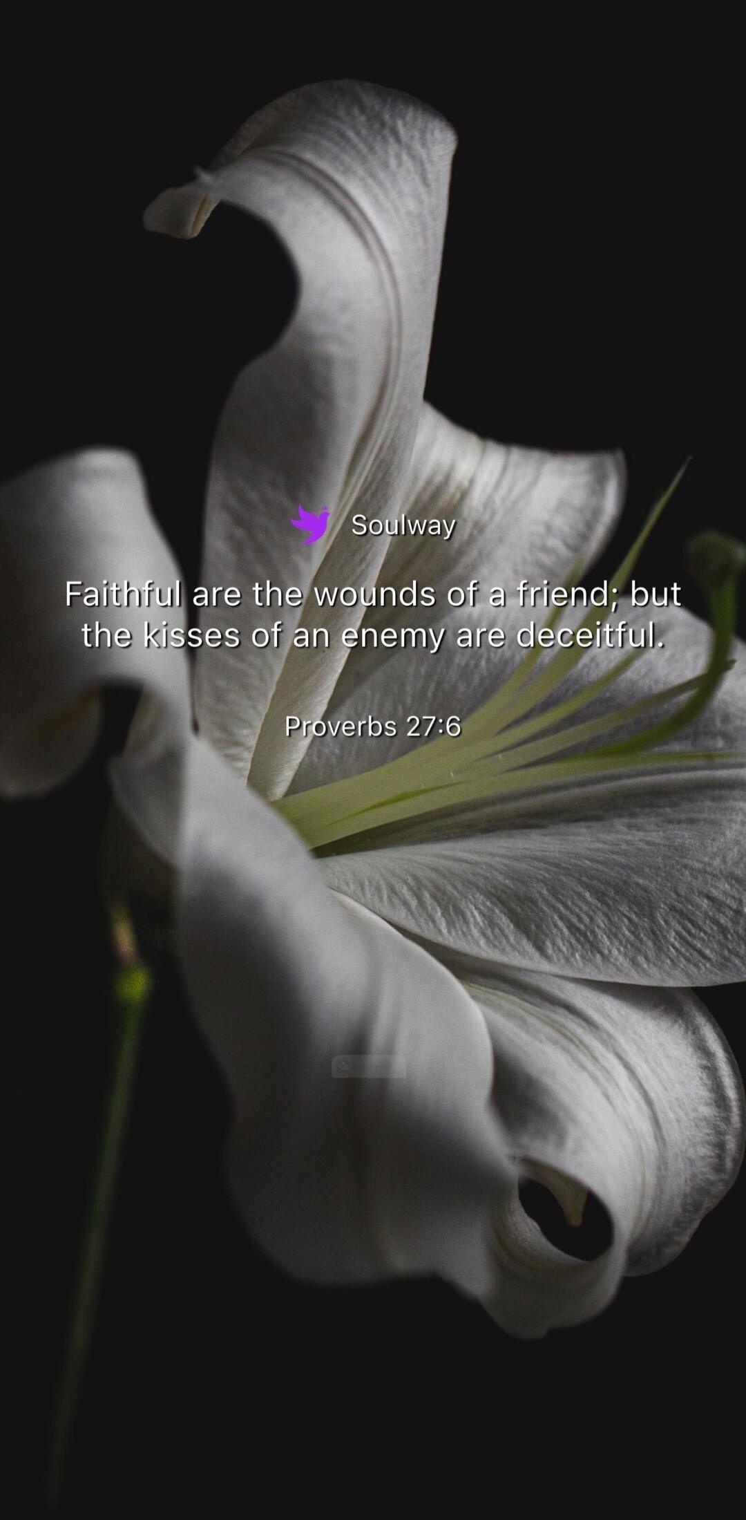 Soulway Faithful are the wounds of a friend; but the kisses of an enemy are deceitful. Proverbs 27:6