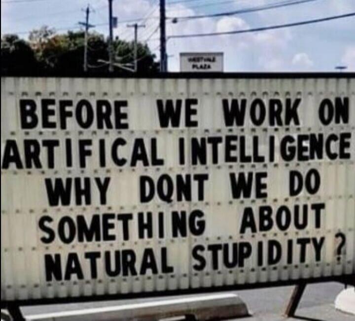 BEFORE WE WORK ON ARTIFICIAL INTELLIGENCE WHY DON'T WE DO SOMETHING ABOUT NATURAL STUPIDITY?