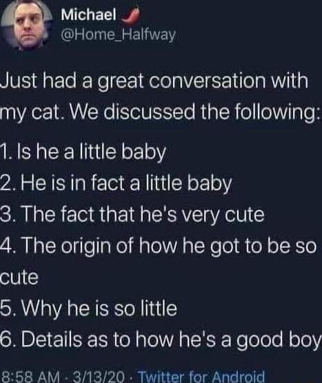Michael _ Home_Halfway Just had a great conversation with my cat We discussed the following RS CEN N E o 2He is in fact a little baby 3 The fact that hes very cute 4 The origin of how he got to be so cute 5 Why he is so little SRR T S ol alel AR CHERRoTo olo Role 858 AM 31320 Twitter for Android