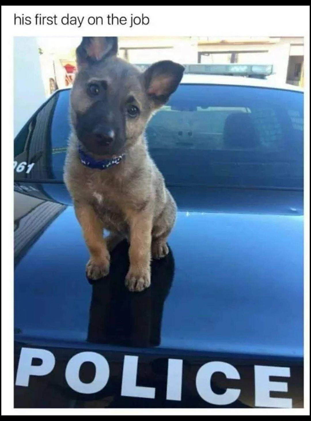 his first day on the job