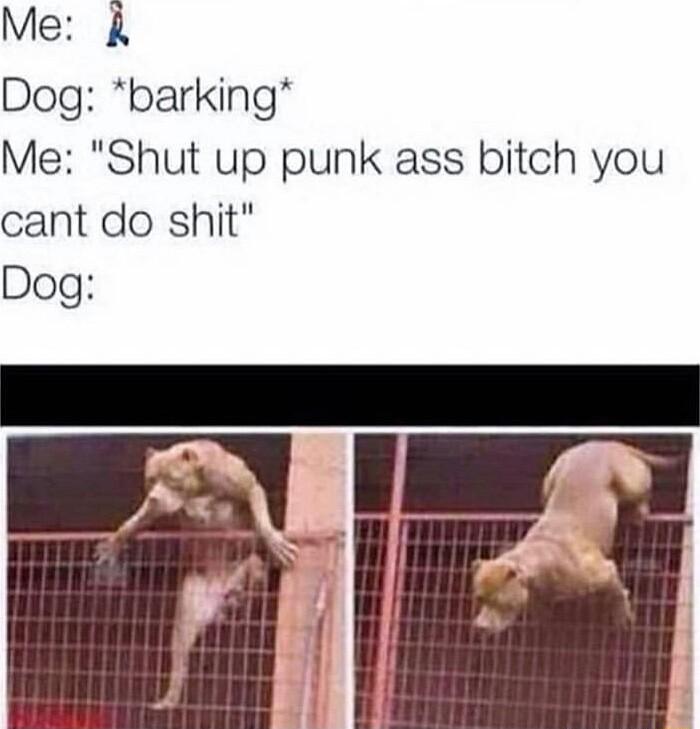 Me Dog barking Me Shut up punk ass bitch you cant do shit