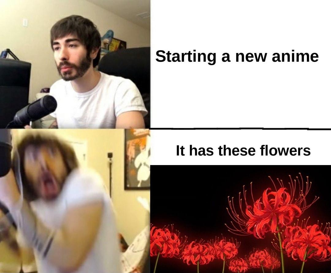 Starting a new anime It has these flowers