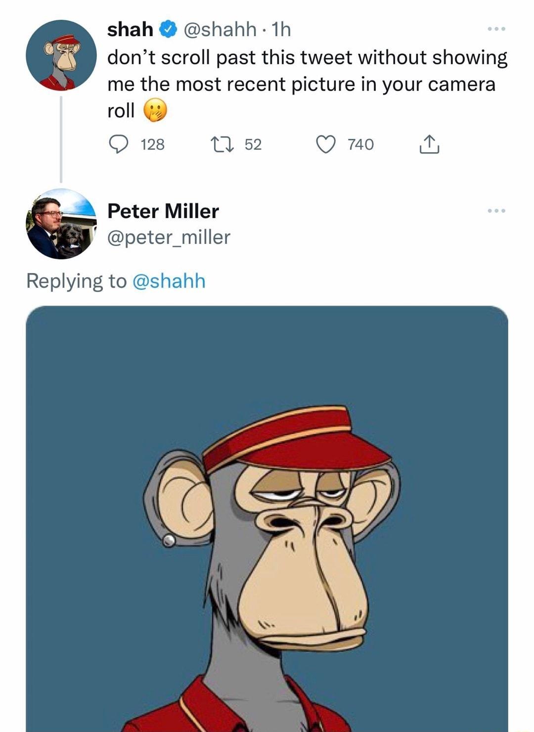 dont scroll past this tweet without showing me the most recent picture in your camera roll Ows tse O Peter Miller peter_miller Replying to shahh