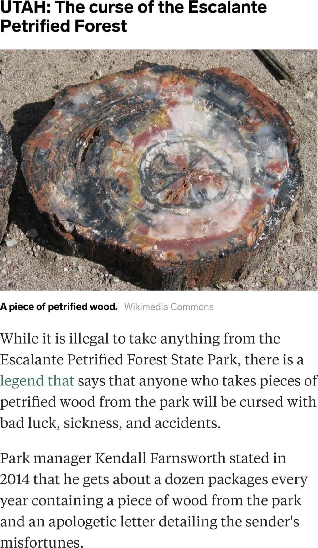 UTAH The curse of the Escalante Petrified Forest A piece of petrified wood While it is illegal to take anything from the Escalante Petrified Forest State Park there is a legend that says that anyone who takes pieces of petrified wood from the park will be cursed with bad luck sickness and accidents Park manager Kendall Farnsworth stated in 2014 that he gets about a dozen packages every year contai