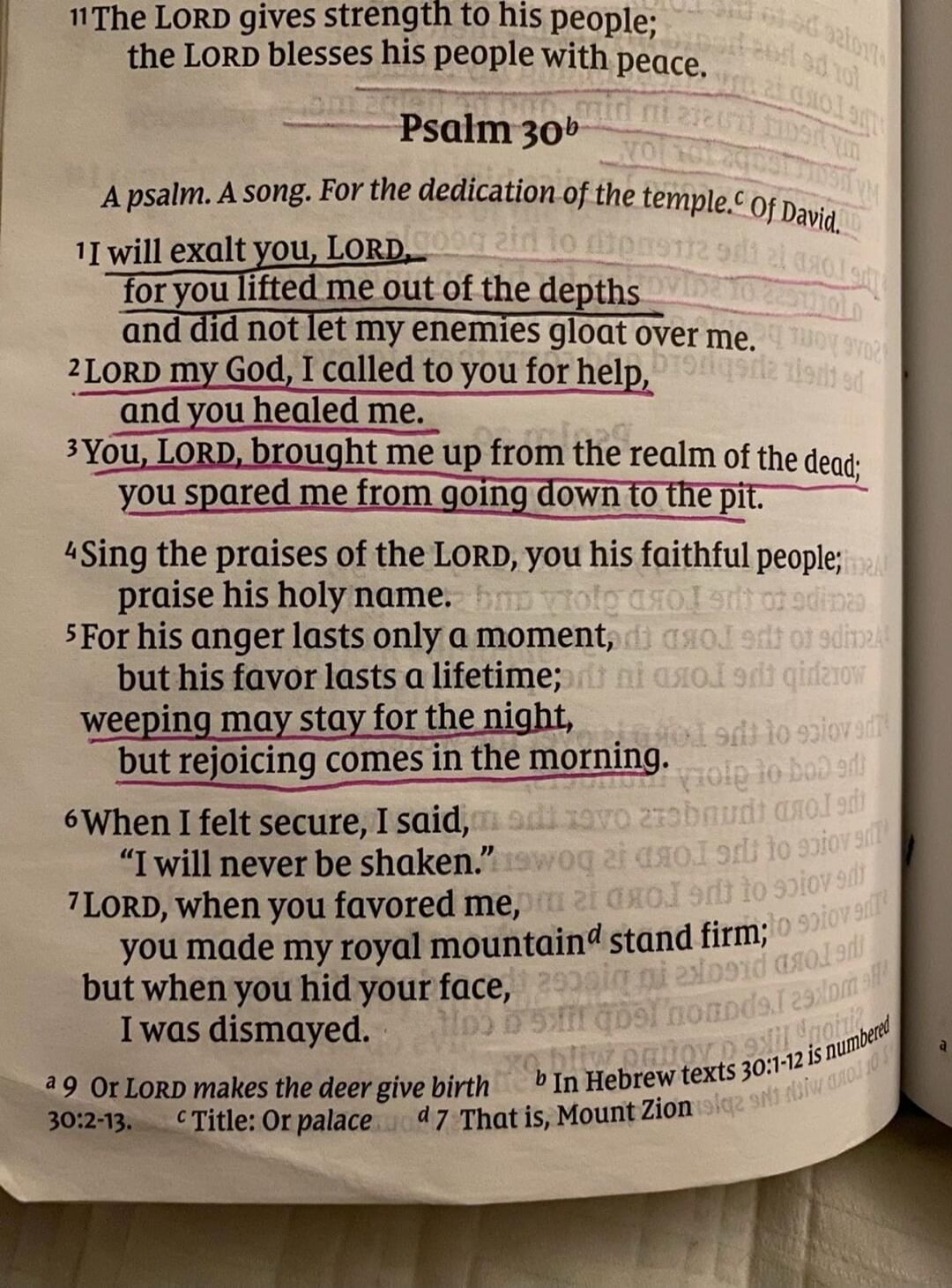 The LORD gives strength to his people; the LORD blesses his people with peace. Psalm 30. A psalm. A song. For the dedication of the temple. Of David. I will exalt you, LORD, for you lifted me out of the depths and did not let my enemies gloat over me. LORD my God, I called to you for help, and you healed me. You, LORD, brought me up from the realm 