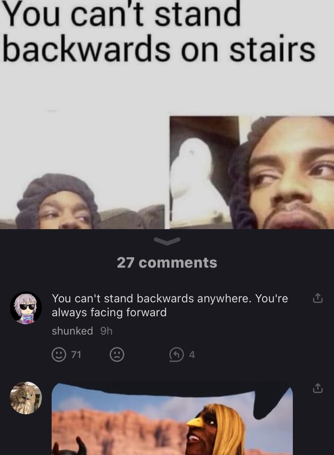 backwards on stairs 27 comments ACTRELRES CL LR EOEIGEEL VLT ERR TN always facing forward shunked