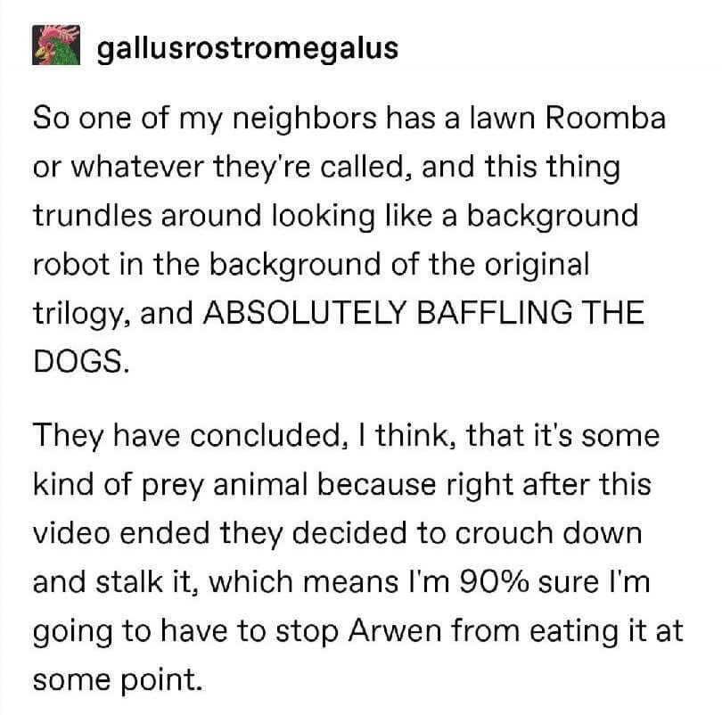 gallusrostromegalus So one of my neighbors has a lawn Roomba or whatever theyre called and this thing trundles around looking like a background robot in the background of the original trilogy and ABSOLUTELY BAFFLING THE DOGS They have concluded think that its some kind of prey animal because right after this video ended they decided to crouch down and stalk it which means Im 90 sure Im going to ha