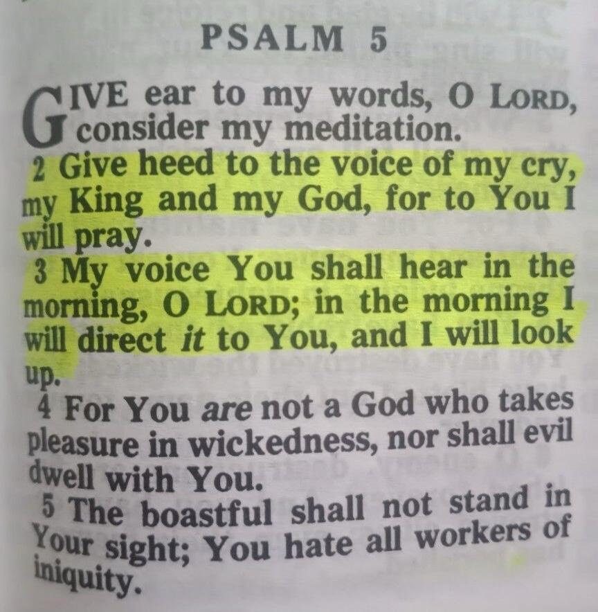 PSALM 5 GIVE ear to my words, O LORD, consider my meditation. 2 Give heed to the voice of my cry, my King and my God, for to You I will pray. 3 My voice You shall hear in the morning, O LORD; in the morning I will direct it to You, and I will look up. 4 For You are not a God who takes pleasure in wickedness, nor shall evil dwell with You. 5 The boa