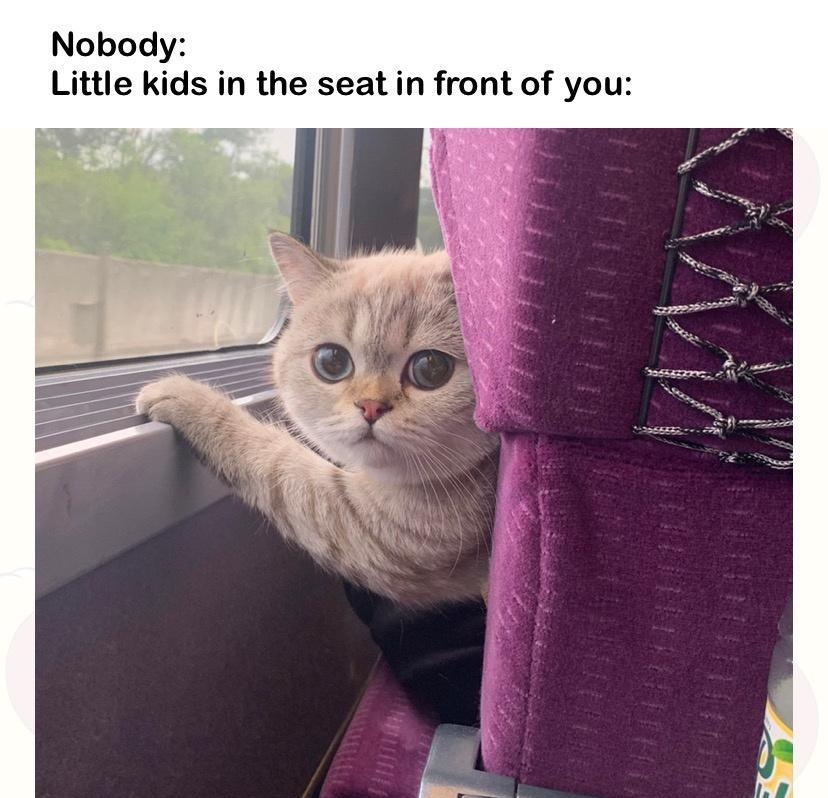 Nobody Little kids in the seat in front of you