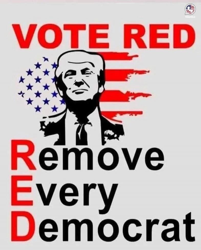 VOTE RED Remove Every Democrat