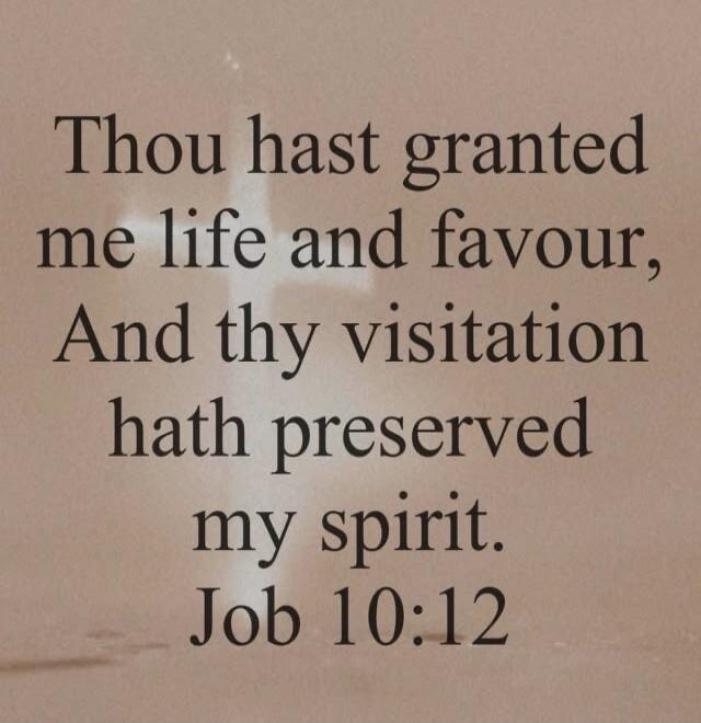 Thou hast granted me life and favour, And thy visitation hath preserved my spirit. Job 10:12