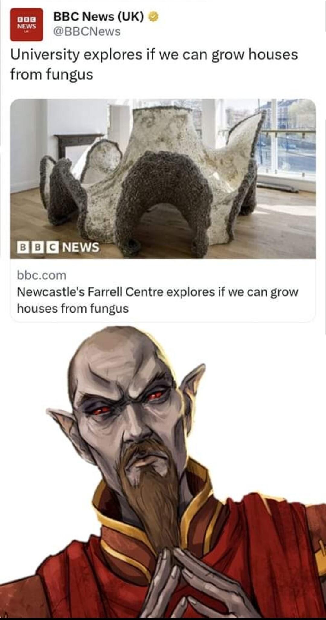 BBC News UK BBCNews University explores if we can grow houses from fungus BBENEWS bbccom Newcastles Farrell Centre explores if we can grow houses from fungus