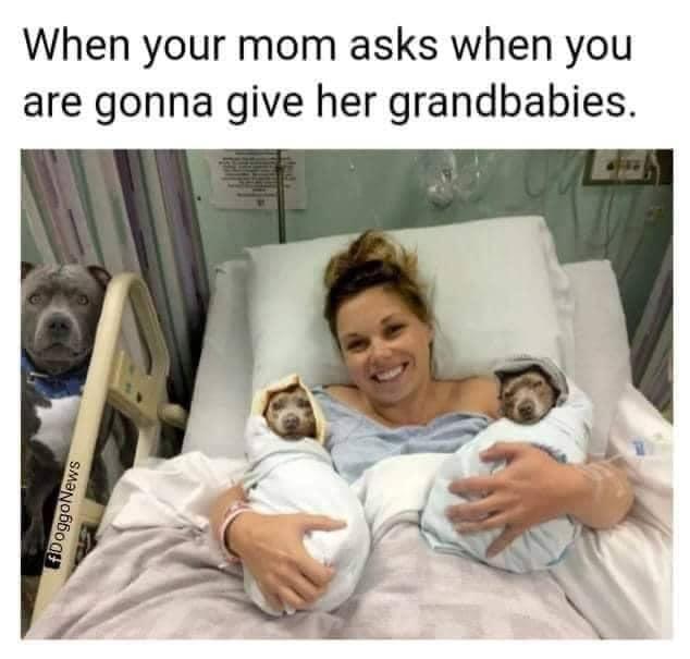 When your mom asks when you are gonna give her grandbabies