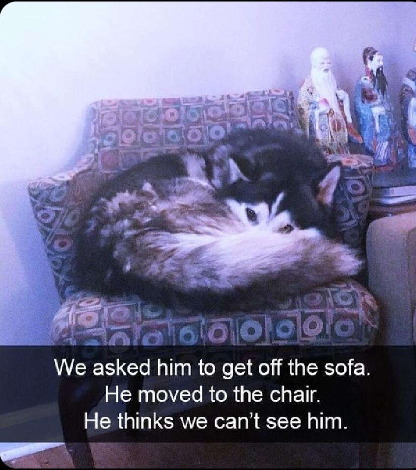 We asked him to get off the sofa R R R TN ETE 2 CRUTCRVERE R T R _