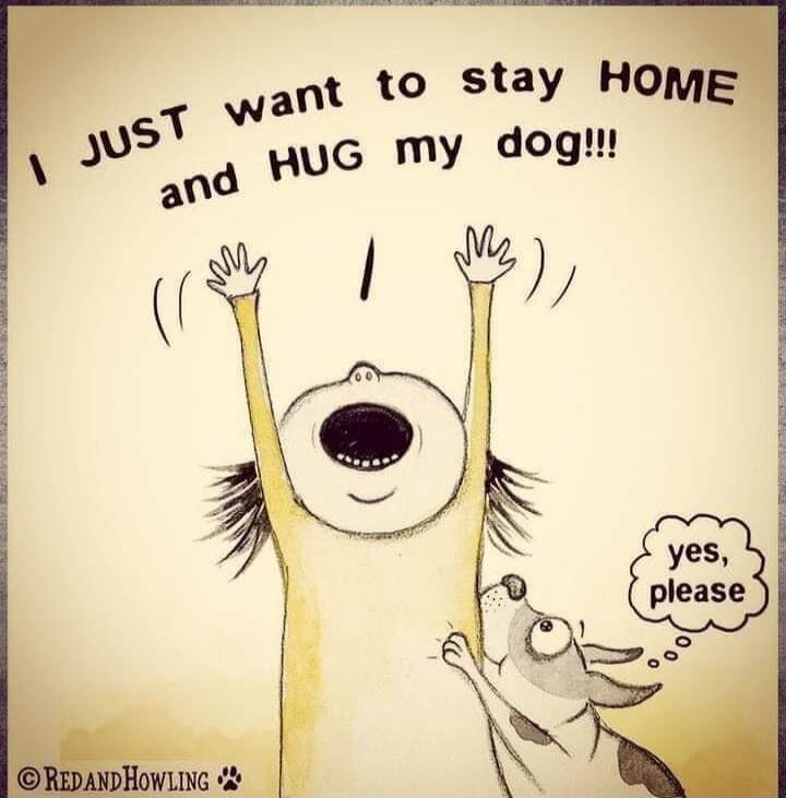 I JUST want to stay HOME and HUG my dog!!! yes, please