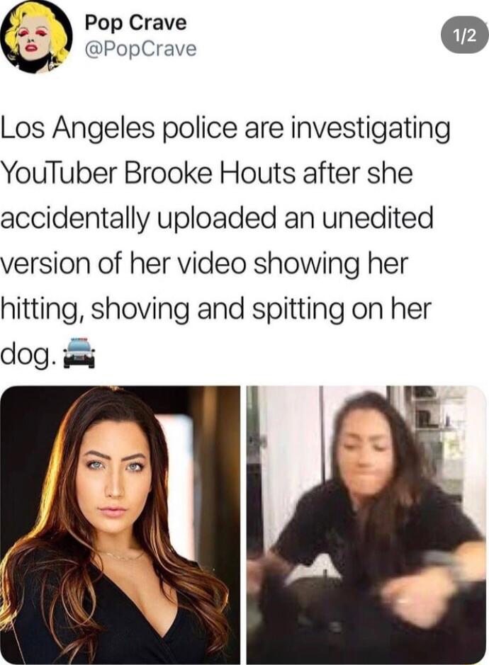 Pop Crave PopCrave Los Angeles police are investigating YouTuber Brooke Houts after she accidentally uploaded an unedited version of her video showing her hitting shoving and spitting on her dog v