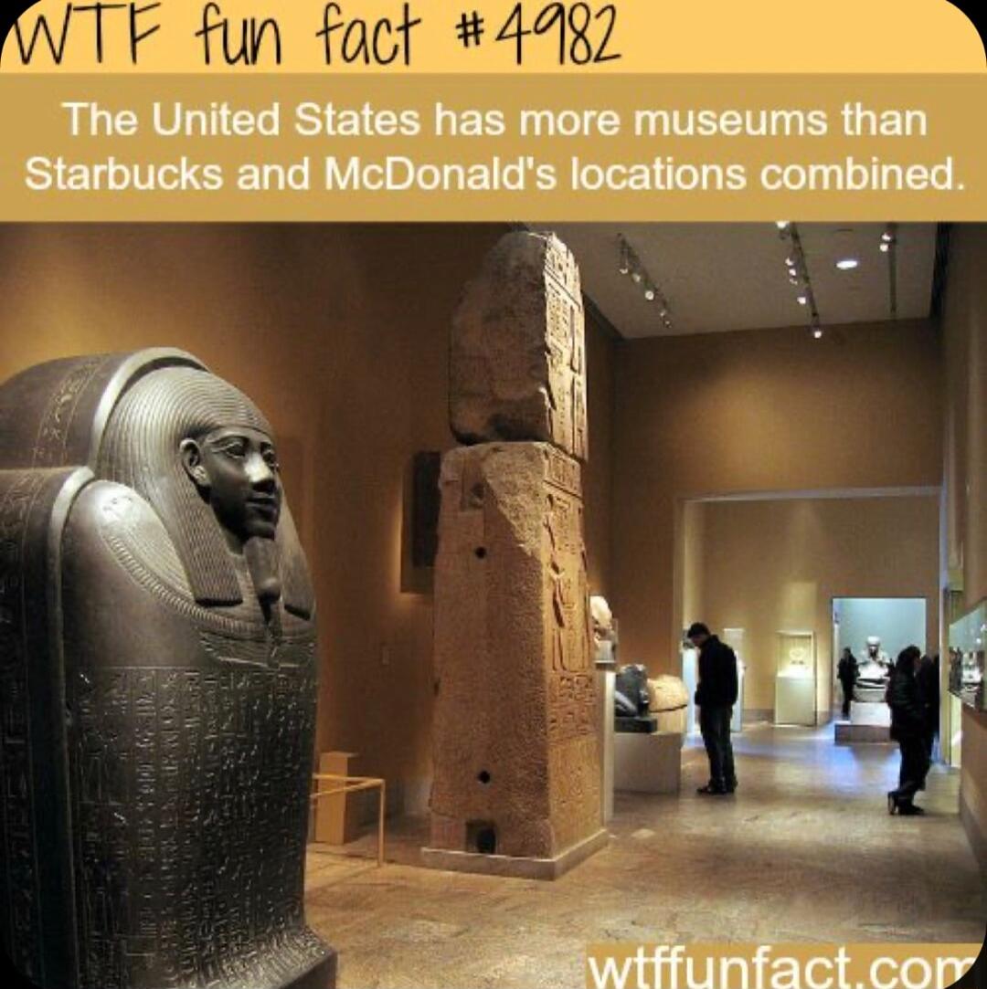 TF fun fact 4482